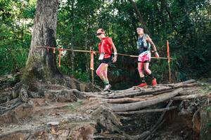 BIB: 
                            <button type="button" onclick="openModal(27302174)" class="btn btn-primary btn-sm float-right btn-popup" data-toggle="modal" data-target=".modal-high-quality">
                        <i class="fas fa-shopping-cart"></i> Add to Cart
                    </button>
                                            <button type="button" onclick="isThisMe(27302174, true)" class="btn btn-success btn-sm float-right btn-popup btn-isme hidden" data-toggle="tooltip" data-placement="bottom" title="นี่คือรูปของคุณใช่ไหม คลิกที่นี่เพื่อเอาเข้าอัลบั้ม">
                        <i class="fas fa-plus"></i> Add to album
                    </button>
                    <button type="button" onclick="isThisMe(27302174, false)" class="btn btn-warning btn-sm float-right btn-popup btn-isnotme hidden">
                        <i class="fas fa-ban"></i> Remove from album
                    </button>